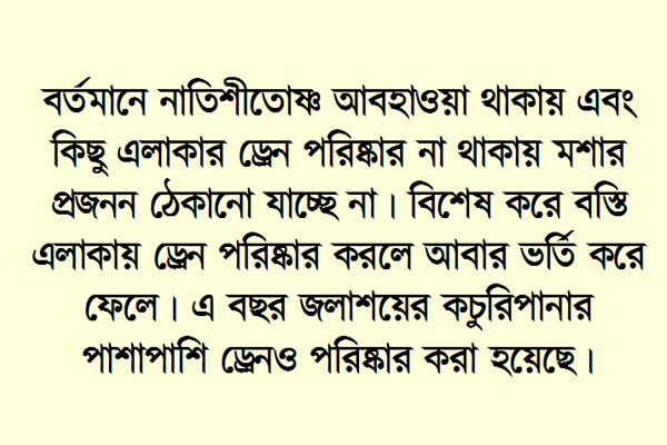 মশার অত্যাচারে রাজধানীবাসী