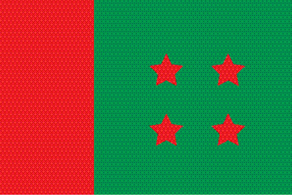 প্রার্থীর সন্ধানে আওয়ামী লীগ, হচ্ছে ইশতেহার
