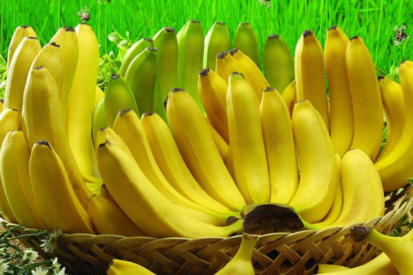 কলার কিছু চমকপ্রদ গুণ জেনে নিন
