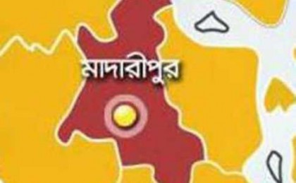 মাদারীপুরে বিরল প্রজাতির মেছো বাঘ আটক