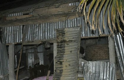 রৌমারী সীমান্তে হাতির তাণ্ডব