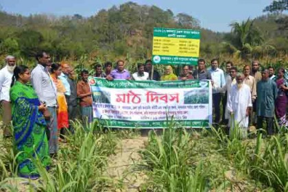 
বাণিজ্যিক ভাবে ভুট্টা চাষ, করবে রোধ তামাক চাষ
