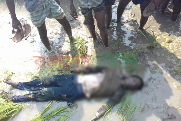 সিরাজগঞ্জে ভুট্টা ক্ষেতে কিশোরের লাশ