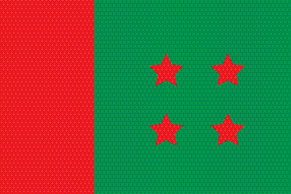 থানা-ওয়ার্ডের পূর্ণাঙ্গ কমিটি কবে কেউ জানে না
