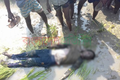 সিরাজগঞ্জে ভুট্টা ক্ষেতে কিশোরের লাশ