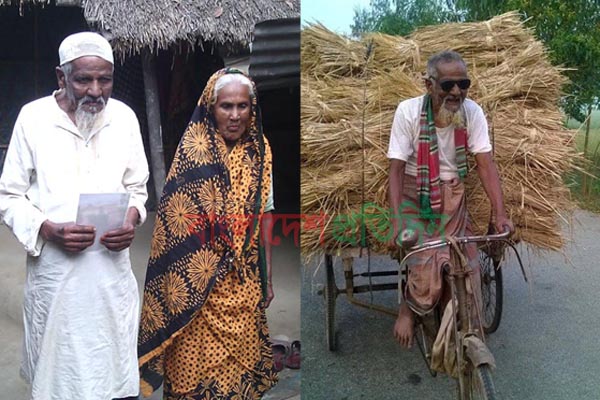 ৯০ বছরেও ভ্যান চালিয়ে খড় বিক্রি করছেন কাচু মোহাম্মদ