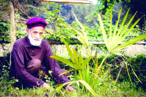 ৩৯ বছর ধরে গাছ লাগান উমরা মিয়া