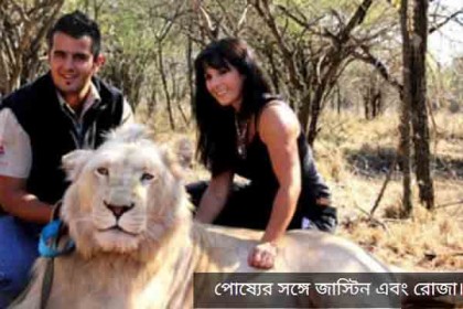 বাঘ-সিংহ নিয়েই দু'জনের সংসার! (ভিডিও)
