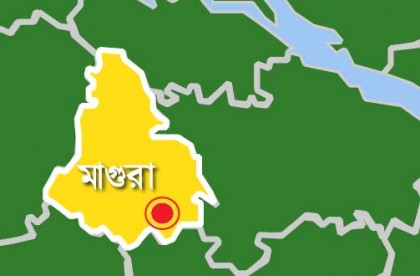 মাগুরায় আন্তর্জাতিক মাতৃভাষা দিবস পালিত
