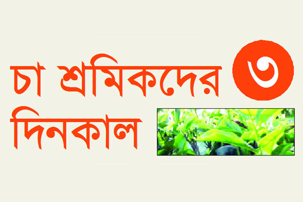 পুষ্টিহীনতা আর টানা পরিশ্রমে বাঁধা জীবন