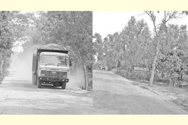 সড়কের ধুলায় ‘রাঙা’ সব