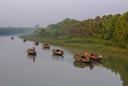 সুন্দরবনে শিকার নিষিদ্ধ প্রজনন মৌসুমে কাঁকড়া আহরণে মহোৎসব
  