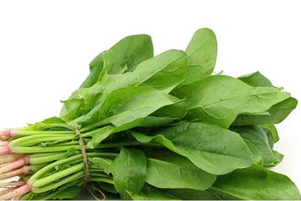 বয়স ধরে রাখতে যা খাবেন