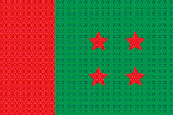 গঠনতন্ত্র নেই দুই দলে