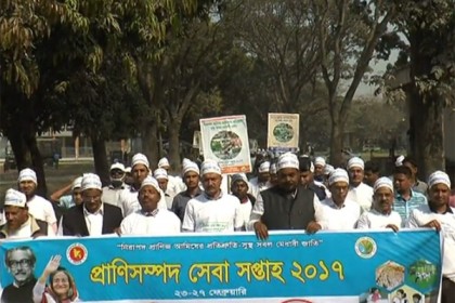 টাঙ্গাইলে চলছে প্রাণিসম্পদ সেবা সপ্তাহ