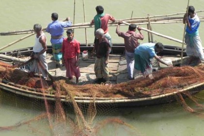 পদ্মা-মেঘনায় ১ মার্চ থেকে ইলিশ ধরা নিষিদ্ধ