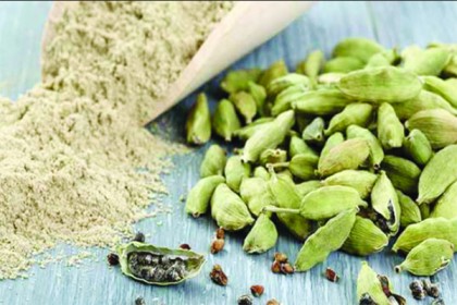 এলাচির ঔষধি গুণাগুণ