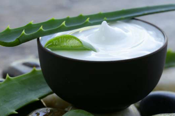 ত্বকের উজ্জ্বলতা বাড়াবে ঘৃতকুমারী