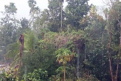 বরিশালে বজ্রসহ বৃষ্টিতে ১৫ ঘর বিধ্বস্ত, কোটালীপাড়ায় নারী নিহত