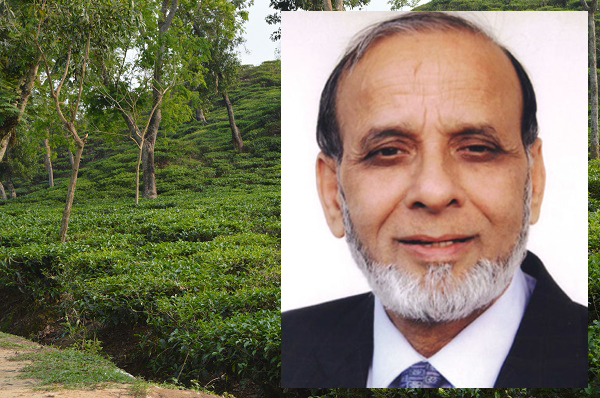 ছেলেসহ রাগীব আলীর এক বছরের জেল