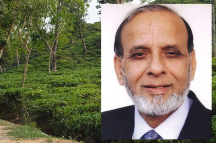 ছেলেসহ রাগীব আলীর এক বছরের জেল