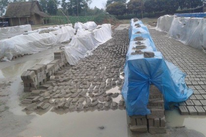 বৃষ্টিপাতে বীরগঞ্জে ইটভাটার ব্যাপক ক্ষতি, শ্রমিকরা বেকার 