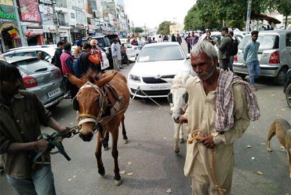 গাধা দিয়ে গাড়ি টানিয়ে প্রতিবাদ