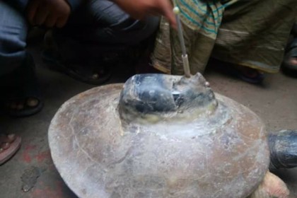 স্যাটেলাইট যুক্ত কচ্ছপটি উদ্ধার 