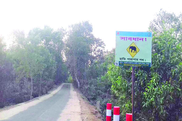 হাতি তাড়াতে সোলার ফেন্সিং