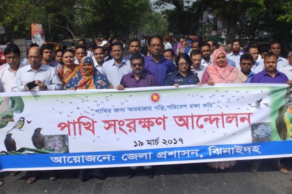 ঝিনাইদহে পাখি সংরক্ষণে সচেতনতা বাড়াতে র‌্যালি