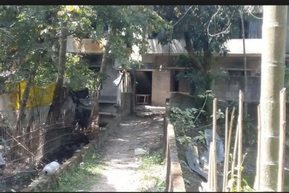 ছায়ানীড় থেকে আরও বোমা জব্দ