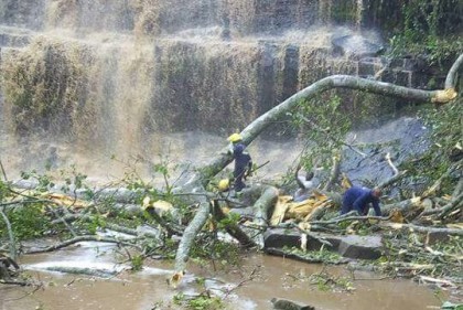 ঘানায় জলপ্রপাতে গাছ পড়ে ২০ জনের প্রাণহানি
