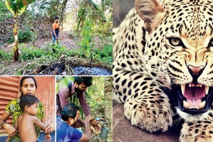 চিতার মুখ থেকে সন্তানকে বাঁচালেন মা