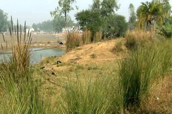 নওগাঁ-নাটোর আঞ্চলিক মহাসড়কে সবজি চাষ!