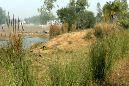 নওগাঁ-নাটোর আঞ্চলিক মহাসড়কে সবজি চাষ!