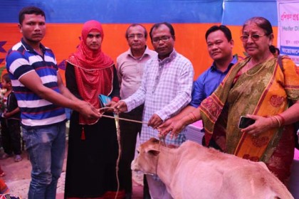 ঠাকুরগাঁওয়ে বিনামূল্যে দরিদ্রদের মাঝে গবাদি পশু বিতরণ