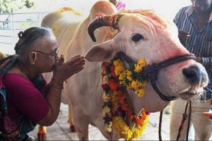গো-হত্যা করলেই যাবজ্জীবন, বিল পাশ গুজরাটে