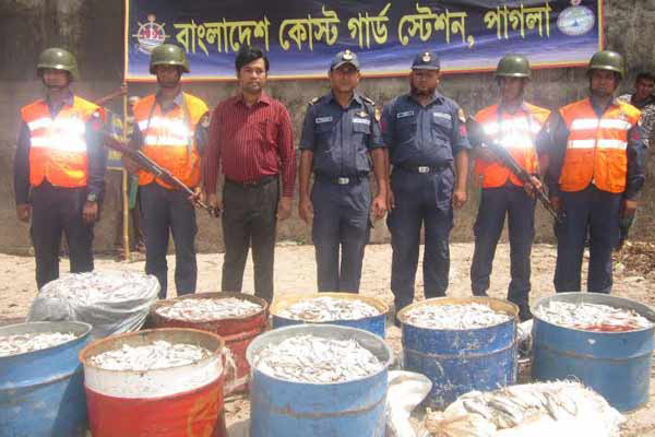 নারায়ণগঞ্জে ১২শ কেজি জাটকা জব্দ