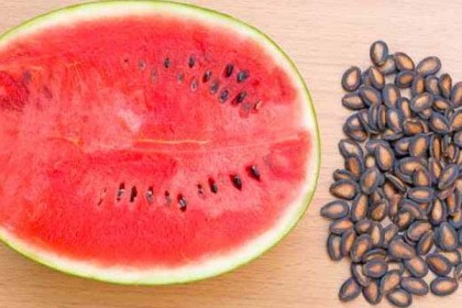 তরমুজের বীজের নানা গুণ