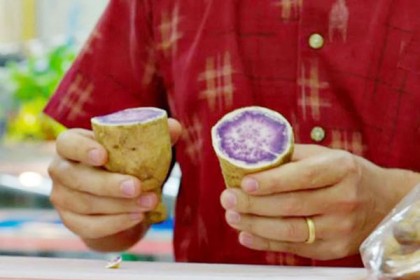 যে বিচিত্র আলু খেলেই বাঁচা যাবে ১০০ বছর!