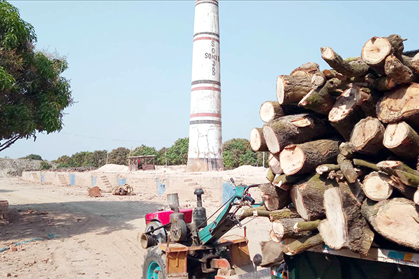 শিবগঞ্জে ৪ ইটভাটার বিরুদ্ধে ৫ হাজার মানুষের অভিযোগ