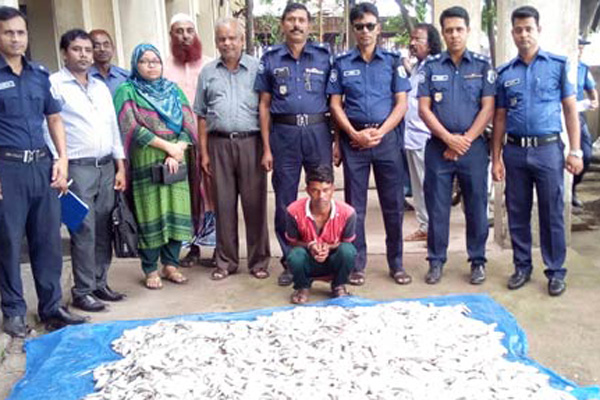 নারায়ণগঞ্জে ১২ মণ জাটকাসহ আটক ১ 