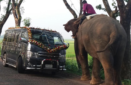 সিলেটের সড়কে সড়কে 'হাতিবাজি'! 