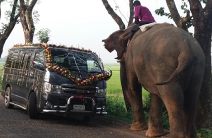 সিলেটের সড়কে সড়কে 'হাতিবাজি'! 