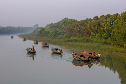 সুন্দরবনের নিষিদ্ধ এলাকায় চলছে মাছ শিকারে মহোৎসব
