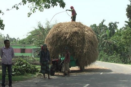 নেত্রকোনার হাওরে নেই বৈশাখের আমেজ