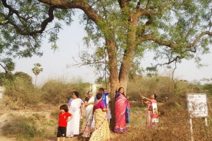 তেতো নয়, নিম গাছে মিষ্টি পাতা!