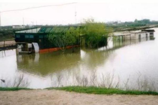 ইরানে বন্যায় ১৪ জনের প্রাণহানি