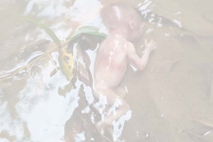 পানিতে ভাসছে নবজাতকের লাশ, গায়ে আঘাতের চিহ্ন