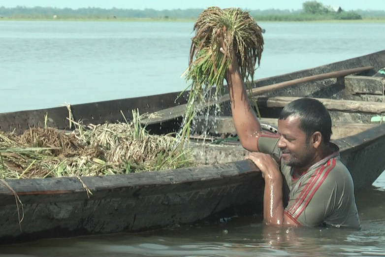 ডিঙ্গাপোতা হাওর নিয়ে আতঙ্ক নেত্রকোনায়